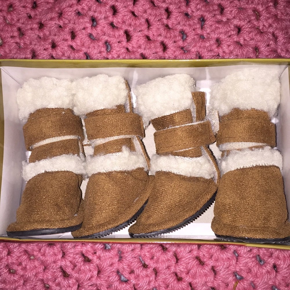 Pugz shoes for fur baby size small